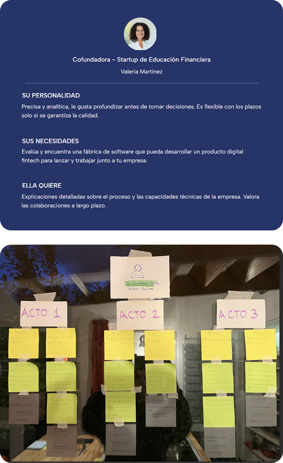 User persona 1 — usuario arquetipo del proyecto